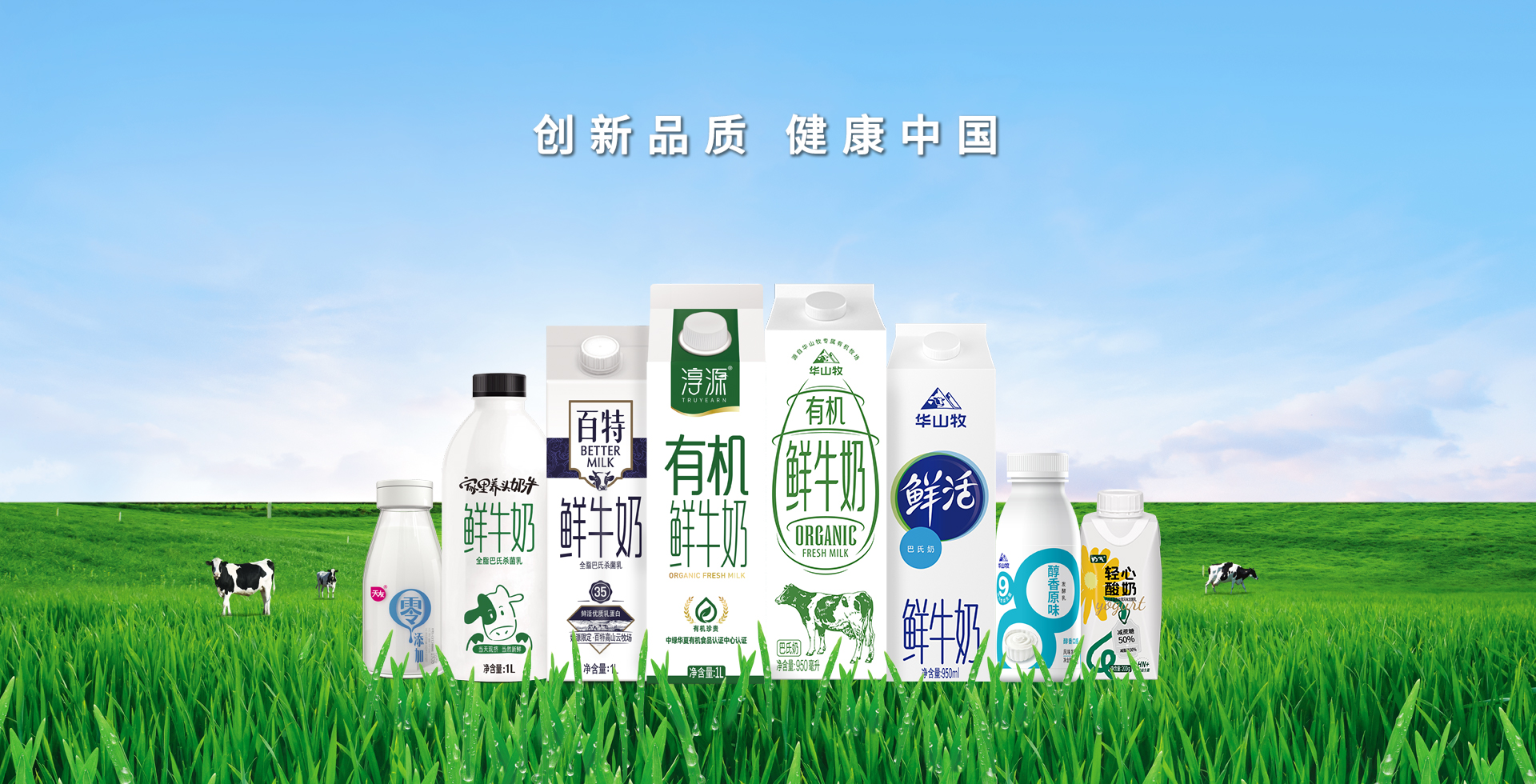 mk体育电脑版下载安装